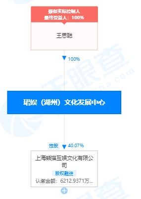 王思聰關聯公司成被執行人，執行標的超28萬，涉經營性互聯網文化信息服務